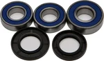 All Balls Racing 25-1066 Drive Wheel Bearing Kit - Durable, High-Performance Replacement for Powersports Vehicles
