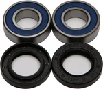 All Balls Racing 25-1070 Drive Wheel Bearing Kit - Durable, High-Performance Racing Bearings