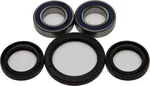 ALL BALLS Racing 25-1080 Wheel Bearing Kit - High-Performance Drive Kit for Powersports Vehicles