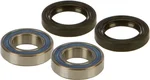 All Balls Racing 25-1092 Drive Wheel Bearing Kit - High-Performance, Durable, Racing-Grade Bearings