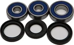 All Balls Racing 25-1095 Drive Wheel Bearing Kit - Durable, High-Performance Replacement for Powersports Vehicles