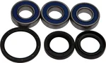 All Balls Racing 25-1115 Drive Wheel Bearing Kit - Durable, High-Performance Replacement for Powersports Vehicles