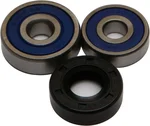 All Balls Racing 25-1166 Drive Wheel Bearing Kit - Durable, High-Performance Replacement for Powersports Vehicles
