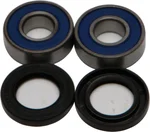 All Balls Racing Drive Wheel Bearing Kit - Durable, Low Maintenance, High Performance