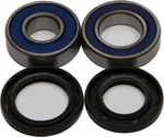All Balls Racing Drive Wheel Bearing Kit - High-Durability, Low-Maintenance Racing Components
