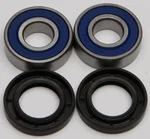 All Balls Racing Drive Wheel Bearing Kit - High-Durability, Low-Maintenance Racing Components