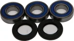 All Balls Racing 25-1224 Drive Wheel Bearing Kit - Durable, High-Performance Replacement for Powersports Vehicles