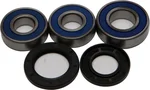 All Balls Racing Drive Wheel Bearing Kit - High-Durability, Low-Maintenance Racing Components
