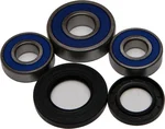 All Balls Racing Drive Wheel Bearing Kit - Durable, High-Performance Replacement for Powersports Vehicles