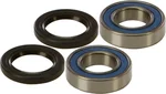 All Balls Racing 25-1273 Drive Wheel Bearing Kit - High-Durability, Precision-Engineered for Powersports Vehicles