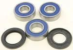 All Balls Racing Drive Wheel Bearing Kit - High Performance, Durable, Easy Installation