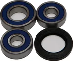 All Balls Racing Drive Wheel Bearing Kit - Durable, High-Performance Replacement for Powersports Vehicles