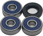 All Balls Racing 25-1295 Drive Wheel Bearing Kit - High Performance, Durable, Racing-Grade Bearings