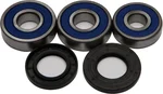 All Balls Racing 25-1340 Drive Wheel Bearing Kit - High-Durability Racing Replacement