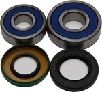 All Balls Racing 25-1356 Drive Wheel Bearing Kit - High-Performance Replacement for Powersports Vehicles