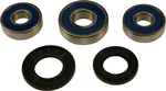 All Balls Racing 25-1358 Drive Wheel Bearing Kit - Durable, High-Performance Racing Bearings