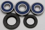 All Balls Racing 25-1359 Drive Wheel Bearing Kit - High-Durability Racing Bearings for Powersports Vehicles
