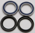 All Balls Racing Drive Wheel Bearing Kit - Durable, High-Performance Replacement for Powersports Vehicles