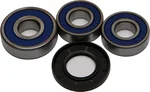 All Balls Racing Drive Wheel Bearing Kit - Durable, High-Performance Replacement for Powersports Vehicles