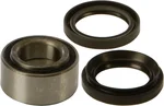 All Balls Racing 25-1434 Drive Wheel Bearing Kit - High-Durability Replacement for Powersports Vehicles