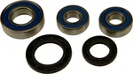 All Balls Racing Drive Wheel Bearing Kit - Durable, High-Performance Replacement for Powersports Vehicles