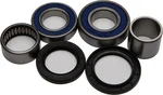 ALL BALLS Racing Drive Wheel Bearing Kit - Durable, High-Performance Replacement for Powersports Vehicles