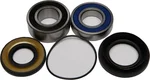 All Balls Racing Drive Wheel Bearing Kit - High-Durability, Low-Maintenance Racing Components
