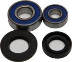 All Balls Racing 25-1500 Drive Wheel Bearing Kit - Durable, High-Performance Racing Bearings