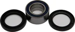 All Balls Racing Drive Wheel Bearing Kit - High Performance, Durable, Easy Installation