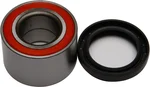 All Balls Racing 25-1520 Drive Wheel Bearing Kit - Durable, Low Maintenance, High Performance