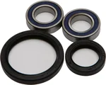 All Balls Racing Drive Wheel Bearing Kit - Durable, High-Performance Racing Bearings