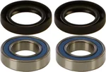 All Balls Racing 25-1569 Drive Wheel Bearing Kit - Durable, High-Performance Racing Bearings