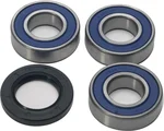 All Balls Racing Drive Wheel Bearing Kit - High Performance, Durable, Easy Installation