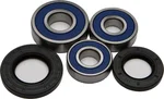 All Balls Racing Drive Wheel Bearing Kit - High-Durability, Low-Maintenance Racing Components