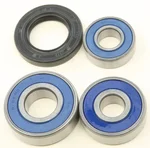 All Balls Racing 25-1607 Drive Wheel Bearing Kit - Durable, High-Performance Racing Bearings