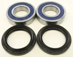 All Balls Racing 25-1693 Drive Wheel Bearing Kit - Durable, High-Performance Racing Bearings