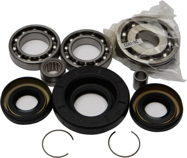 All Balls Racing 25-2004 Differential Bearing & Seal Kit - High-Performance Drive System Replacement