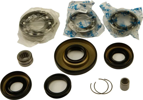 All Balls Racing 25-2006 Differential Bearing & Seal Kit - High-Performance Drive System Replacement