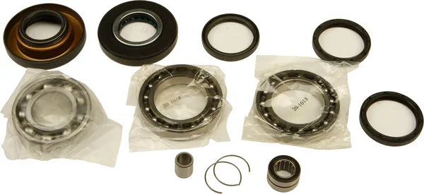 All Balls Racing 25-2009 Differential Bearing & Seal Kit - High-Performance Drive System Replacement