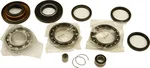 All Balls Racing 25-2009 Differential Bearing & Seal Kit - High-Performance Drive System Replacement