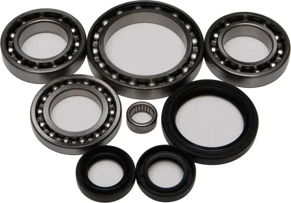 All Balls Racing 25-2044 Differential Bearing & Seal Kit - High-Performance Drive System Replacement
