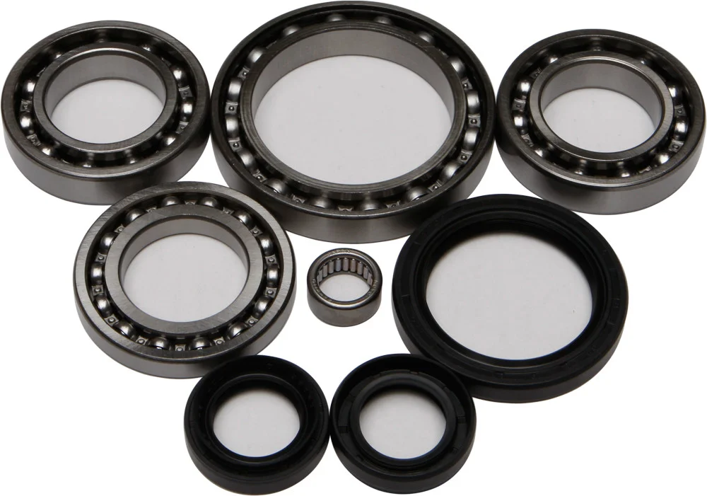 All Balls Racing 25-2044 Differential Bearing & Seal Kit - High-Performance Drive System Replacement