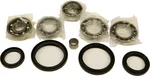 All Balls Racing 25-2050 Differential Bearing & Seal Kit - High-Performance Drive System Upgrade