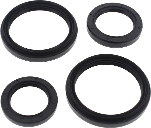 All Balls Racing 25-2050-5 Differential Seal Kit - High-Performance Drive System Replacement