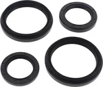 All Balls Racing 25-2050-5 Differential Seal Kit - High-Performance Drive System Replacement