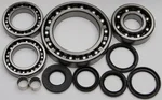 All Balls Racing 25-2059 Differential Bearing & Seal Kit - Durable, High-Performance Drive System Replacement