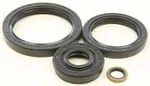 All Balls Racing 25-2066-5 Differential Seal Kit - High-Performance Drive System Replacement