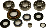 All Balls Racing 25-2069 Differential Bearing & Seal Kit - High-Performance Drive System Replacement