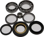 All Balls Racing 25-2070 Differential Bearing & Seal Kit - High-Performance Drive System Replacement