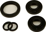 All Balls Racing Differential Seal Kit - High-Performance Drive System Replacement